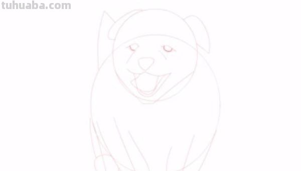 狗全身怎么画彩铅色 素描彩铅小狗教程？