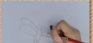 蜻蜓怎么画简笔画图片 如何画蜻蜓简笔画？