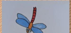 蜻蜓怎么画简笔画图片 如何画蜻蜓简笔画？
