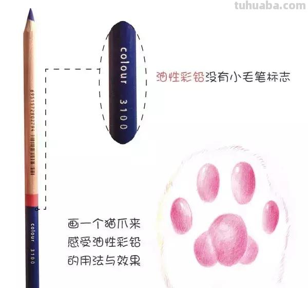 干货，彩铅不会画？没事，手把手教你
