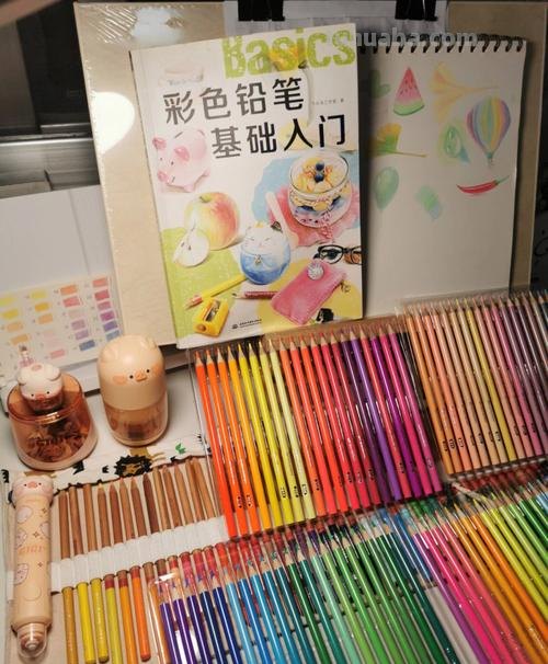 人人都能学会的入门彩铅教程!