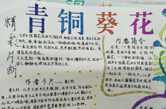 怎么画古物手抄报 青铜葵花的青铜怎么画?