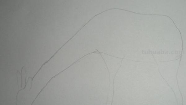 简笔画长颈鹿怎么画 简笔画长颈鹿怎么画？