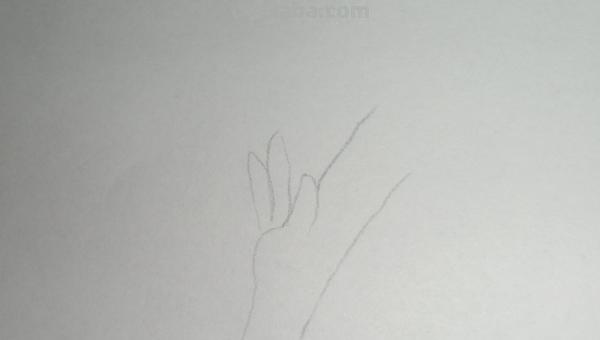 简笔画长颈鹿怎么画 简笔画长颈鹿怎么画？
