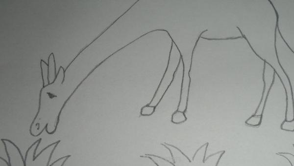 简笔画长颈鹿怎么画 简笔画长颈鹿怎么画？