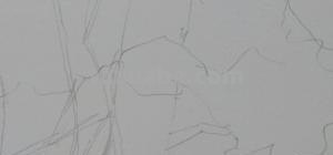 速写松柏树 树木速写技法表现？