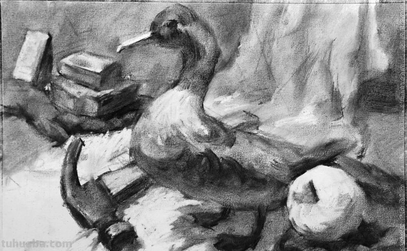 素描作品：5步让你的作品脱颖而出，带有步骤图讲解