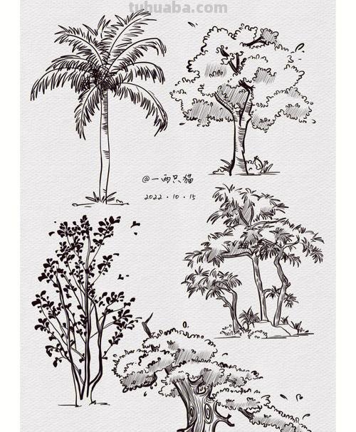 画技巧速写植物 树木速写技法表现?