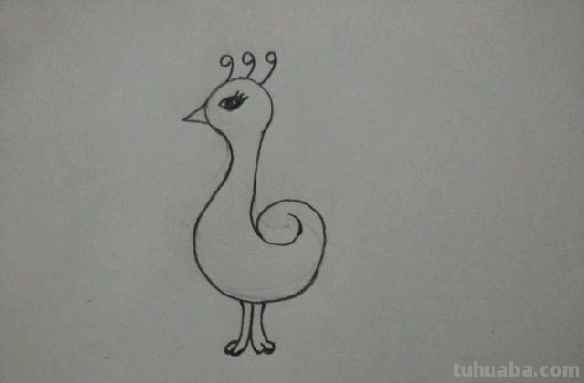 孔雀怎么画彩铅 手绘图 教你画美丽的孔雀？