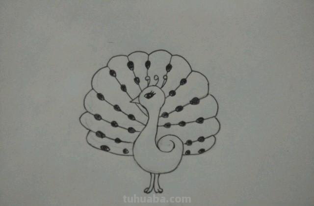 孔雀怎么画彩铅 手绘图 教你画美丽的孔雀？