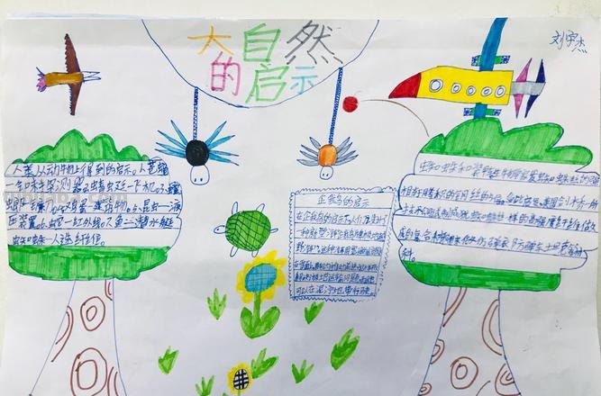 关于什么什么手抄报 关于大自然的手抄报?