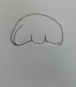 100种女生可爱简笔画