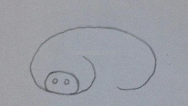 怎么画猪的简笔画步骤 简笔画画小猪怎么画？