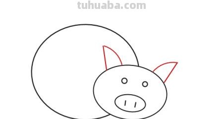 怎么画猪的简笔画步骤 简笔画画小猪怎么画？