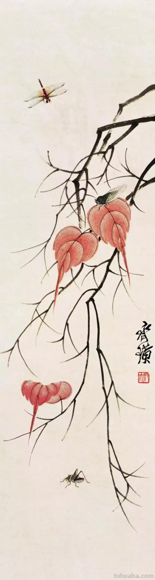 详细图解蝉的画法