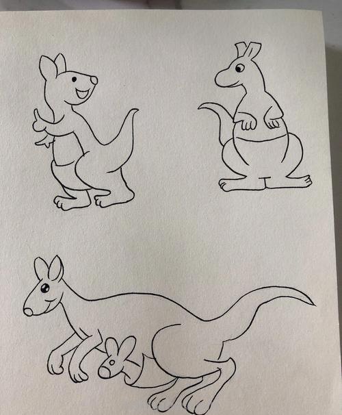 袋鼠简笔画画法教程 袋鼠简笔画画法教程视频