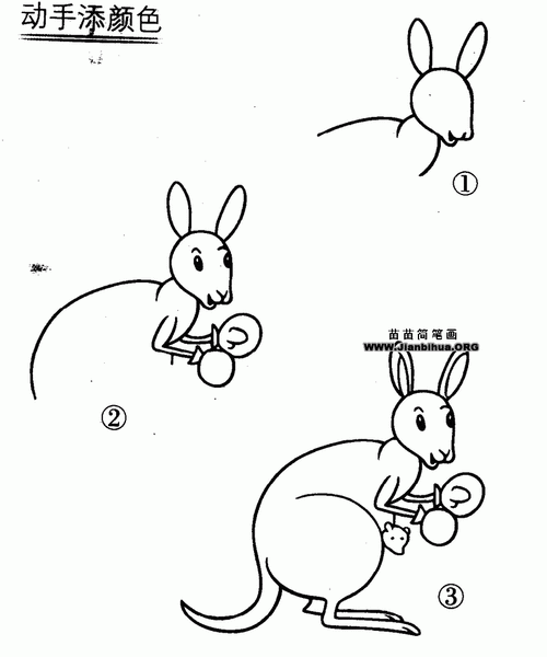 袋鼠简笔画画法教程 袋鼠简笔画画法教程视频