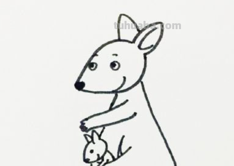 袋鼠简笔画怎么画