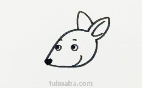 袋鼠简笔画怎么画