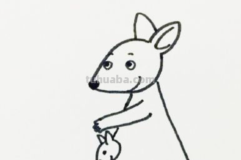 袋鼠简笔画怎么画
