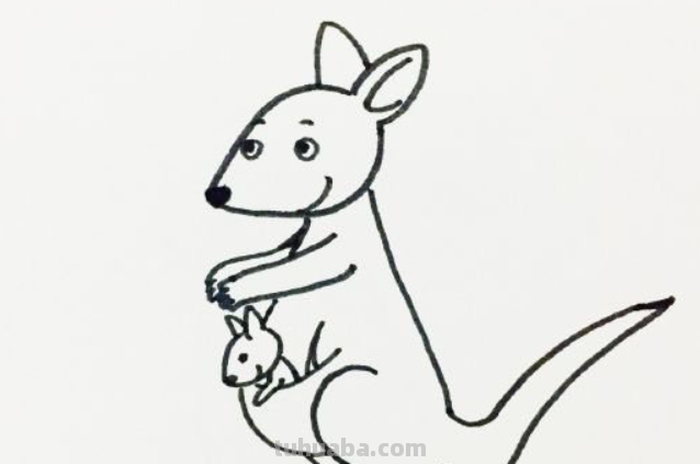 袋鼠简笔画怎么画