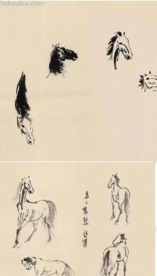 国画画马 国画画马怎么画