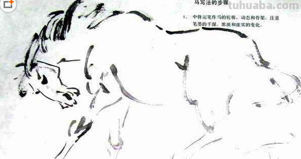 写意国画如何画马?