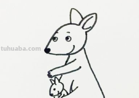 袋鼠简笔画怎么画