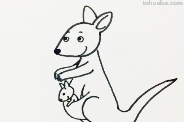 袋鼠简笔画怎么画