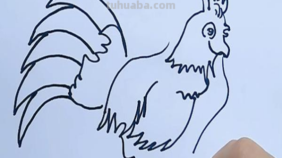 儿童画公鸡的简单画法