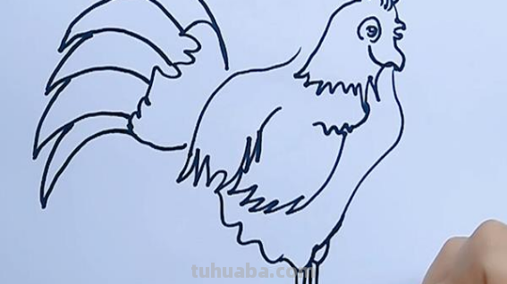 儿童画公鸡的简单画法