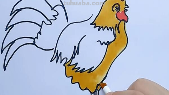 儿童画公鸡的简单画法