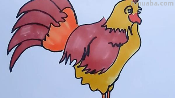 儿童画公鸡的简单画法