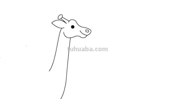 长颈鹿的简单画法