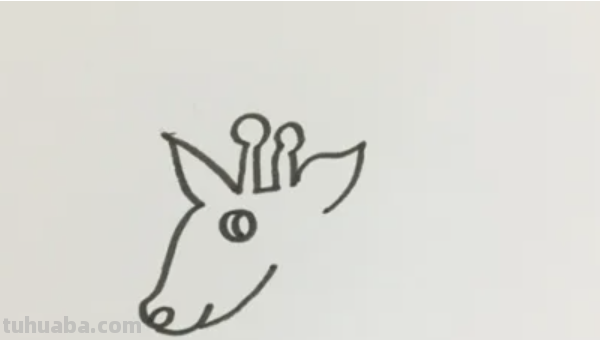画一只长颈鹿怎么画