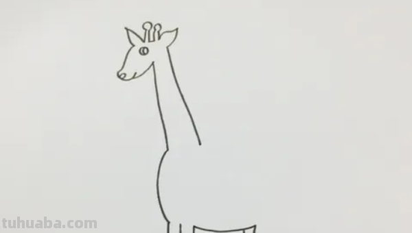 画一只长颈鹿怎么画