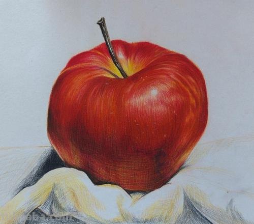 彩铅水果单体图片怎么画 水果蔬菜彩铅画教程?