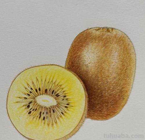 彩铅水果单体图片怎么画 水果蔬菜彩铅画教程?