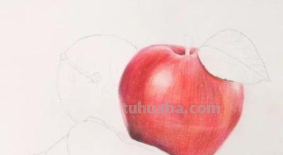 彩铅水果单体图片怎么画 水果蔬菜彩铅画教程？