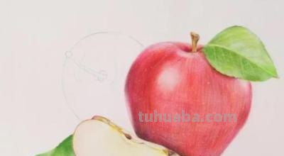 彩铅水果单体图片怎么画 水果蔬菜彩铅画教程？