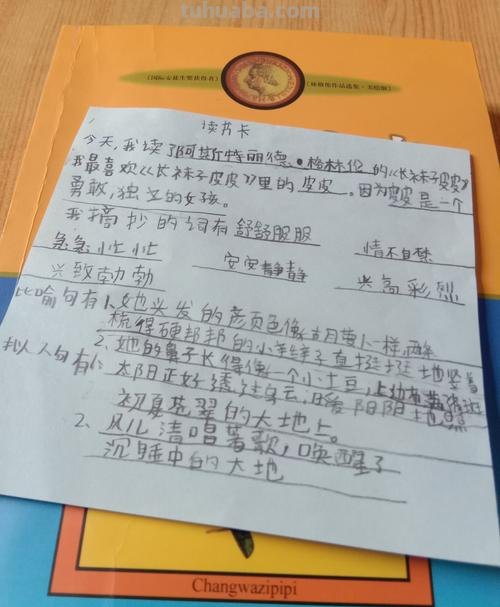怎么做有好词好句的读书卡 好词好句摘抄卡怎么做?