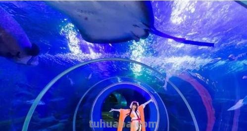 海底世界 海底世界门票多少钱