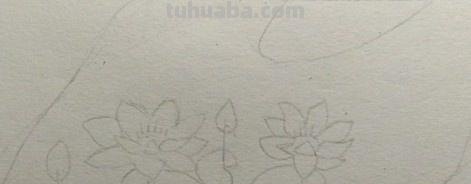 简笔彩铅荷花怎么画 荷花彩铅绘画步骤过程？