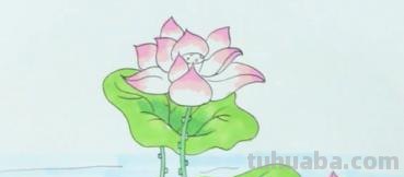 简笔彩铅荷花怎么画 荷花彩铅绘画步骤过程？