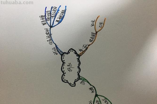 为什么思维导图很火爆 思维导图梳理知识点的优点?