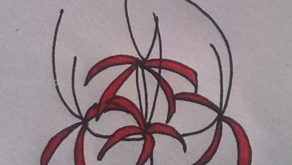 彼岸花的简笔画怎么画?