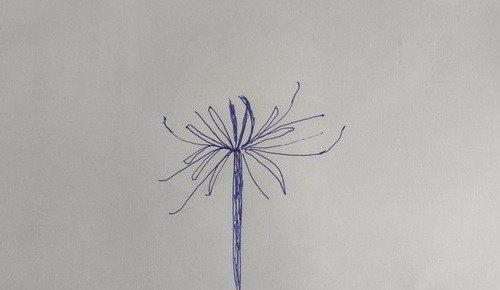 彼岸花怎么画