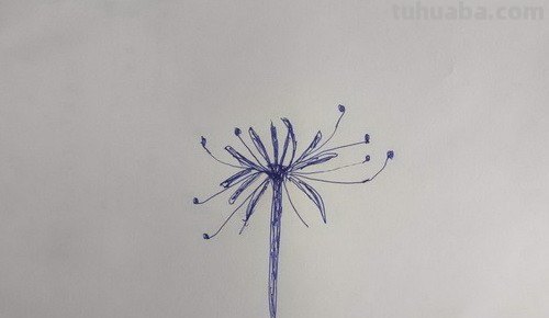彼岸花怎么画