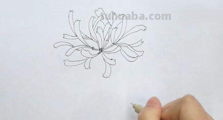 彼岸花手绘怎么画