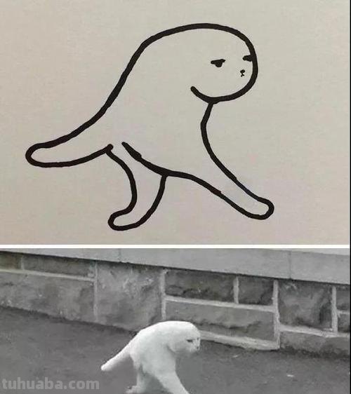 灵魂画师再度上线，继续教你画宠物简笔画